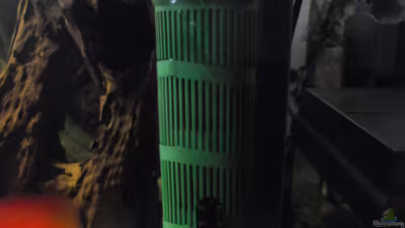 Technik im Aquarium mini amazonas von Christian Fries (8)