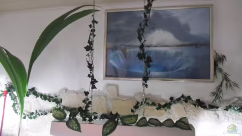 Technik im Aquarium mini amazonas von Christian Fries (9)