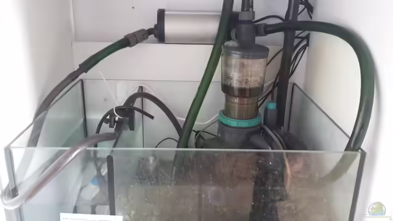 Technik im Aquarium minireef von Nigel Friss (3)