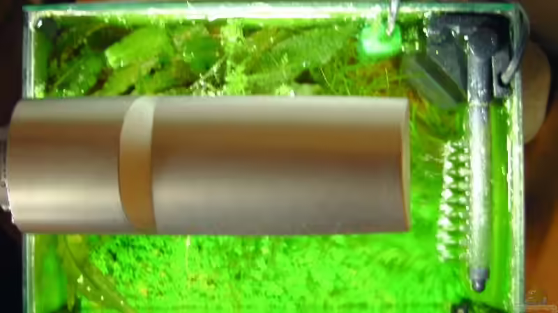 Technik im Aquarium Miniwiese von Culpepper (5)