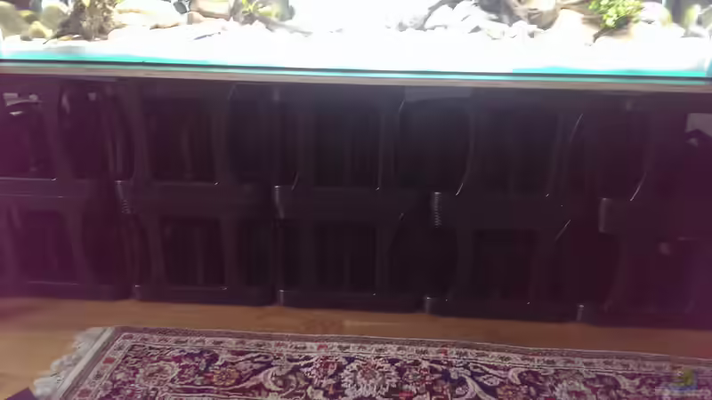 Technik im Aquarium Mittelamerika / Aquascape von Dubfocus (14)