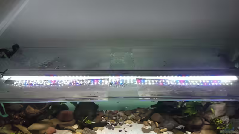 Technik im Aquarium Mittelamerika / Aquascape von Dubfocus (15)