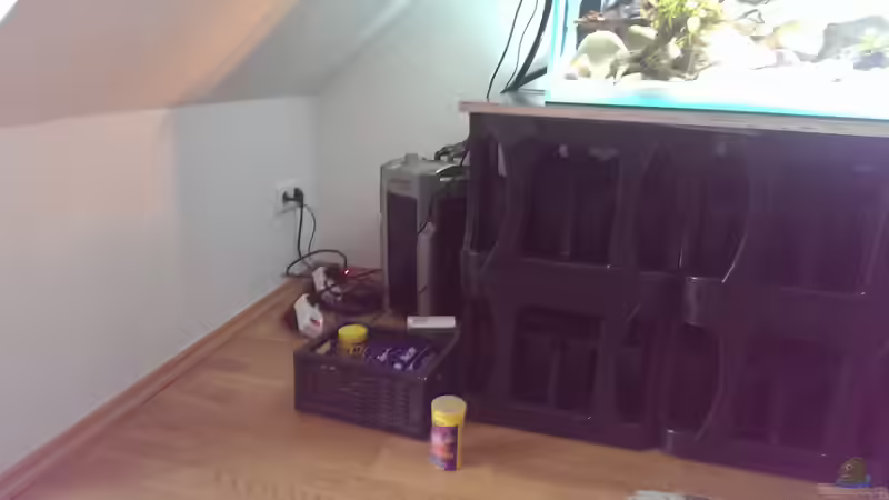 Technik im Aquarium Mittelamerika / Aquascape von Dubfocus (17)