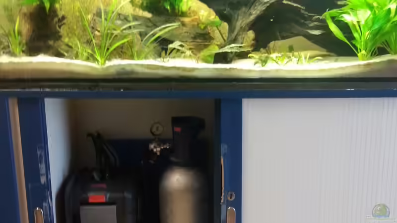 Technik im Aquarium Mittelamerika Meeki Becken von Der Dreiäugige Goldfisch (30)