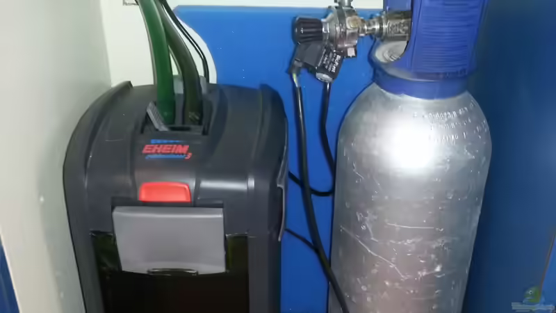 Technik im Aquarium Mittelamerika Meeki Becken von Der Dreiäugige Goldfisch (31)