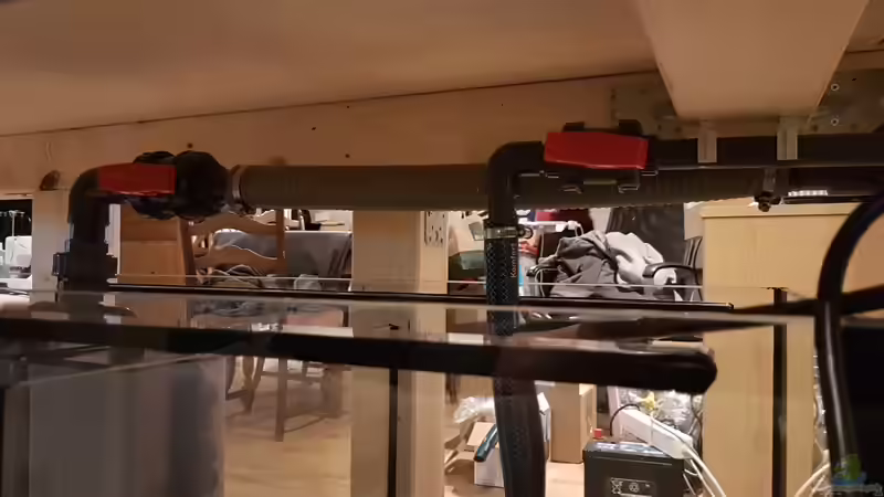 Technik im Aquarium Moorkienriff von Tobi82 (5)