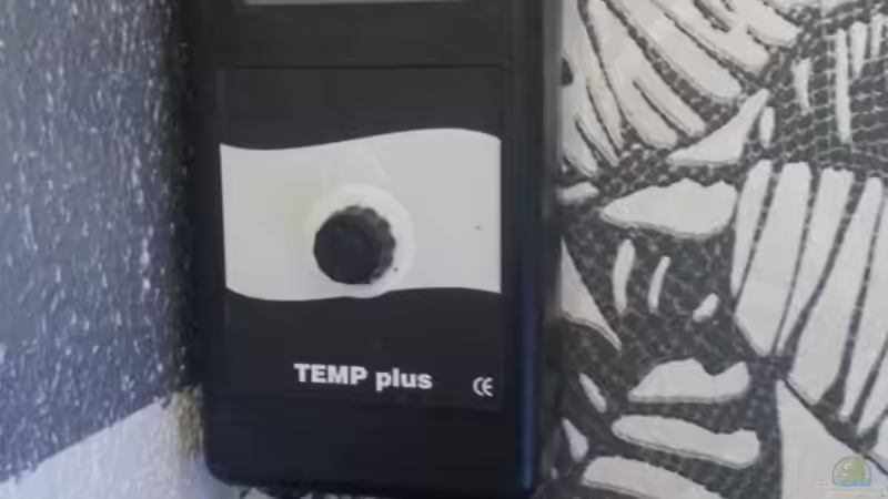 Technik im Aquarium My second Malawi basin existiert nicht mehr von Vision (17)