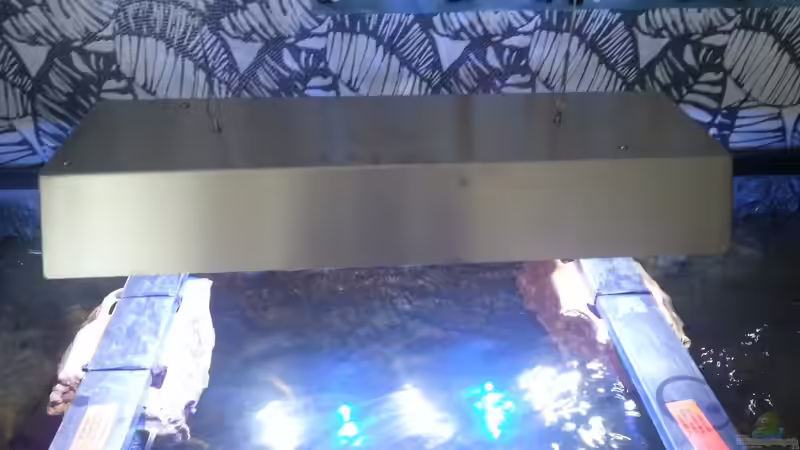 Technik im Aquarium My second Malawi basin existiert nicht mehr von Vision (19)