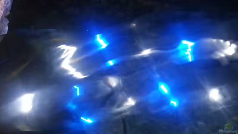 Technik im Aquarium My second Malawi basin existiert nicht mehr von Vision (20)