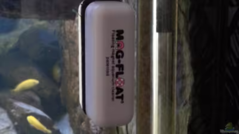 Technik im Aquarium My second Malawi basin existiert nicht mehr von Vision (21)