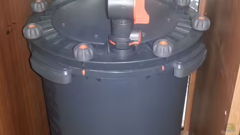 Technik im Aquarium My second Malawi basin existiert nicht mehr von Vision (22)