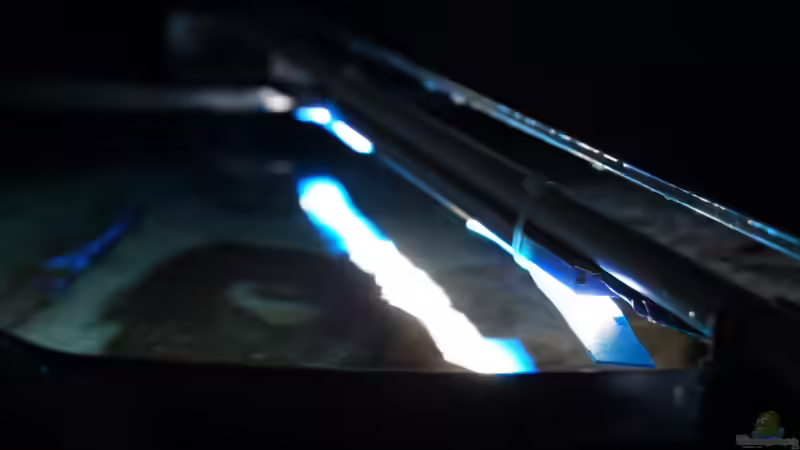 Technik im Aquarium MYlawi von Stefan Schmitt (10)