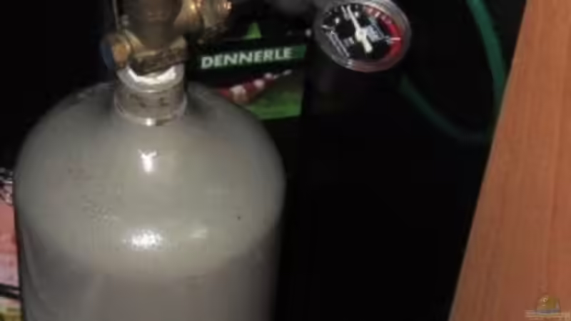 Technik im Aquarium mysteryland von furt (22)