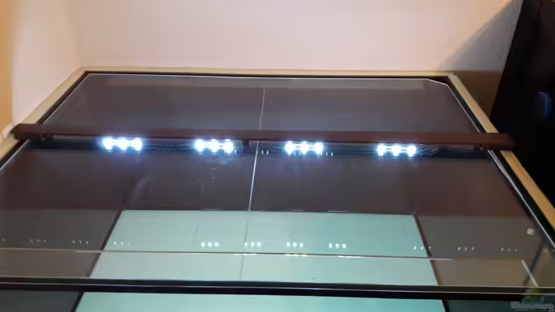 Technik im Aquarium Namenlos II von Fichte (30)