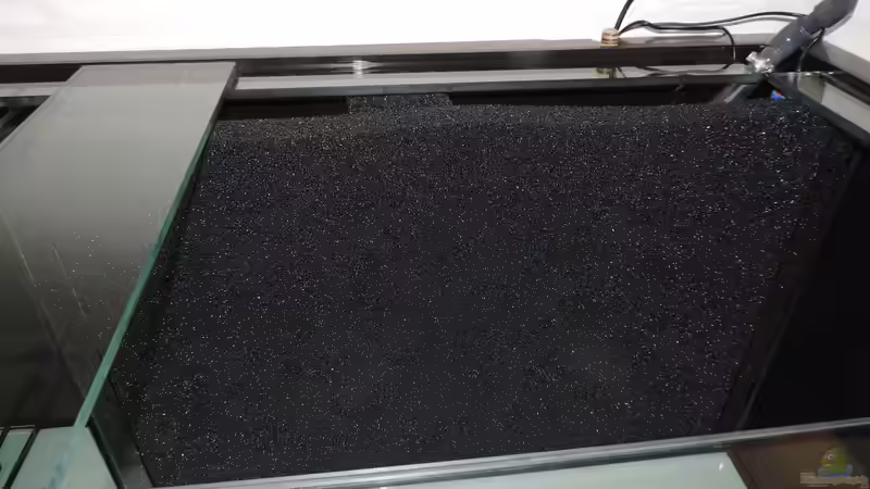 Technik im Aquarium Namenlos von Fichte (87)