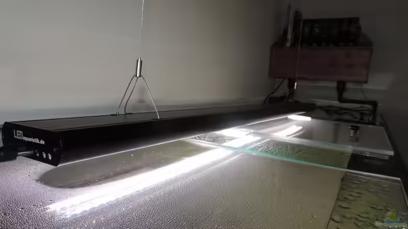 Technik im Aquarium Namenlos von Fichte (88)