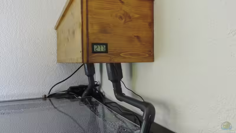 Technik im Aquarium Namenlos von Fichte (89)