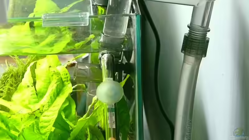 Technik im Aquarium Nano Cube 30 von Die kleine Meerjungfrau (11)