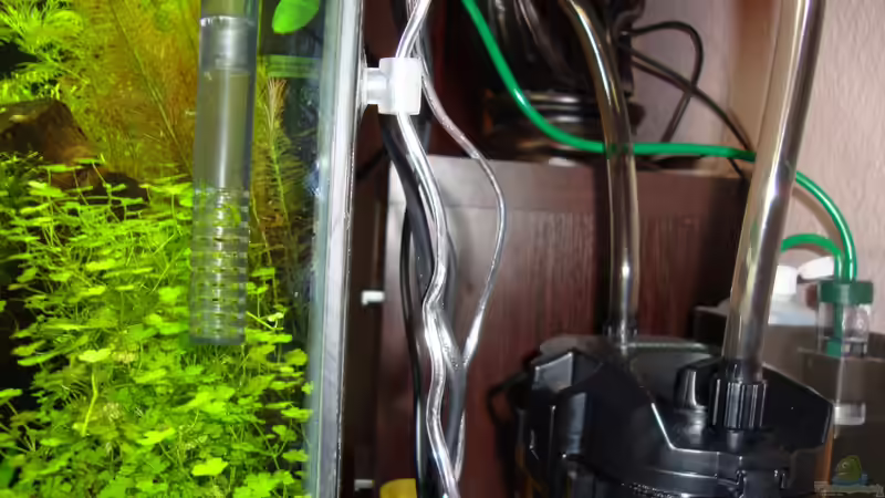 Technik im Aquarium Nano Cube 60 Liter von Christoph Luz (30)