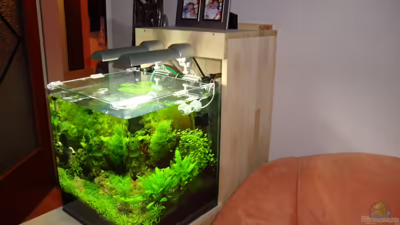 Technik im Aquarium Nano Cube 60 Liter von Christoph Luz (34)