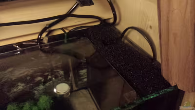 Technik im Aquarium Nano Eigenbau von Lucky3310 (32)