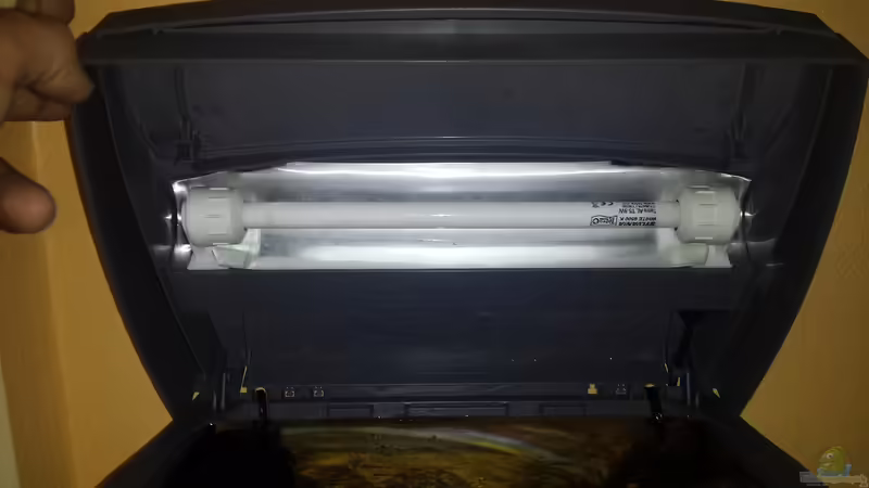 Technik im Aquarium Nano II von Lucky3310 (10)