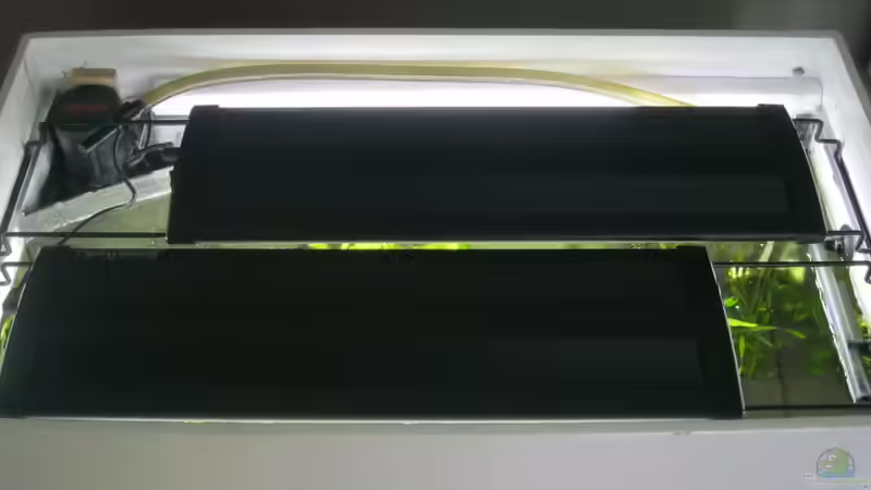 Technik im Aquarium Neo´s World Nur noch als Beispiel von Alfur (7)