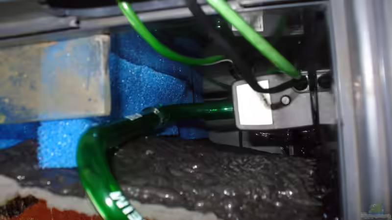 Technik im Aquarium Neueinrichtung nach Umzug von Randsteinwetzer (13)