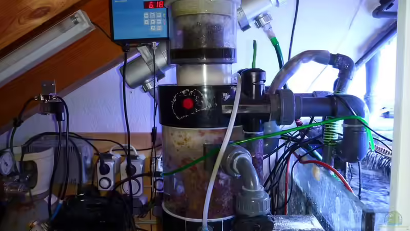 Technik im Aquarium Neues Becken von Madlen Gajda (6)