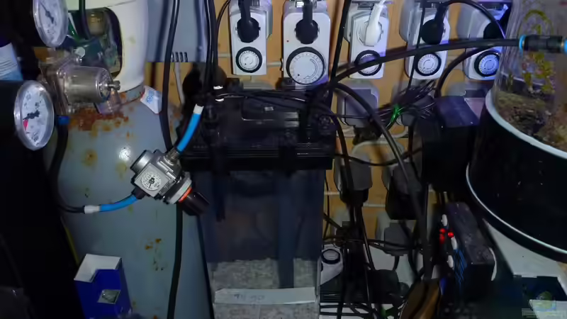 Technik im Aquarium Neues Becken von Madlen Gajda (7)