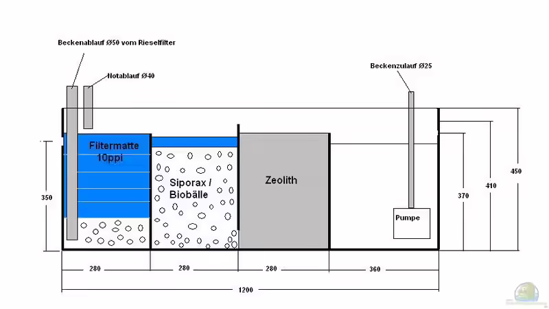 Technik im Aquarium Non Mbuna -1600 von Vision112 (17)