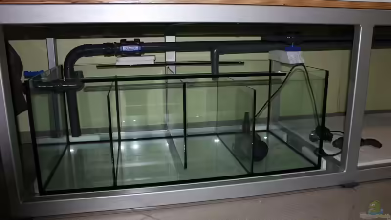 Technik im Aquarium Non Mbuna -1600 von Vision112 (18)