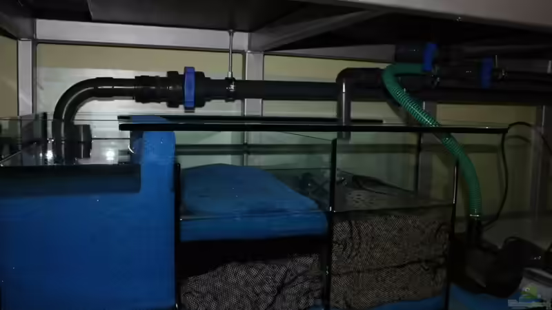 Technik im Aquarium Non Mbuna -1600 von Vision112 (19)