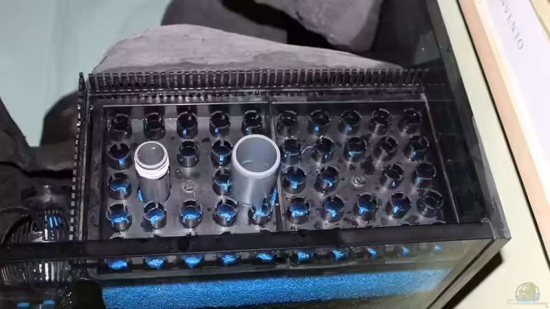 Technik im Aquarium Non Mbuna -1600 von Vision112 (21)