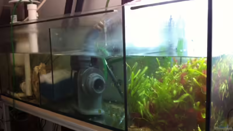 Technik im Aquarium No´s Reef von TheNo (6)