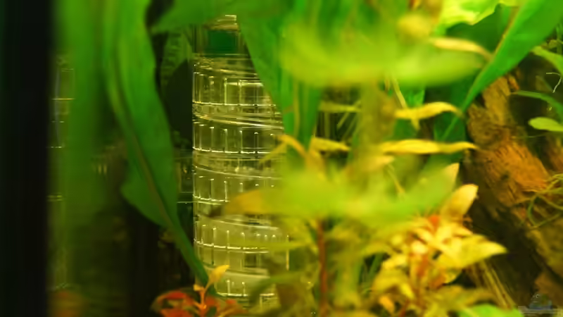 Technik im Aquarium Nur noch Beispiel von Liquid (16)