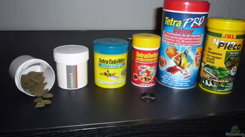 Technik im Aquarium (nur noch Beispiel) wird umgebaut von Frank Wollenburg (27)