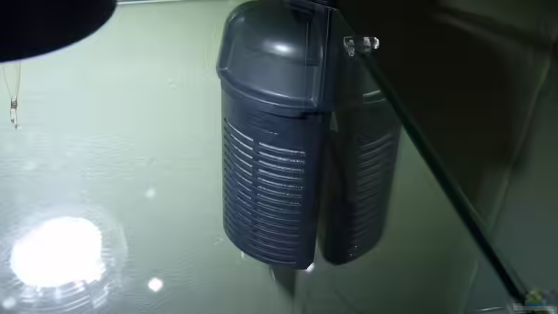 Technik im Aquarium (Olympia 2018) von Josef Braun (26)