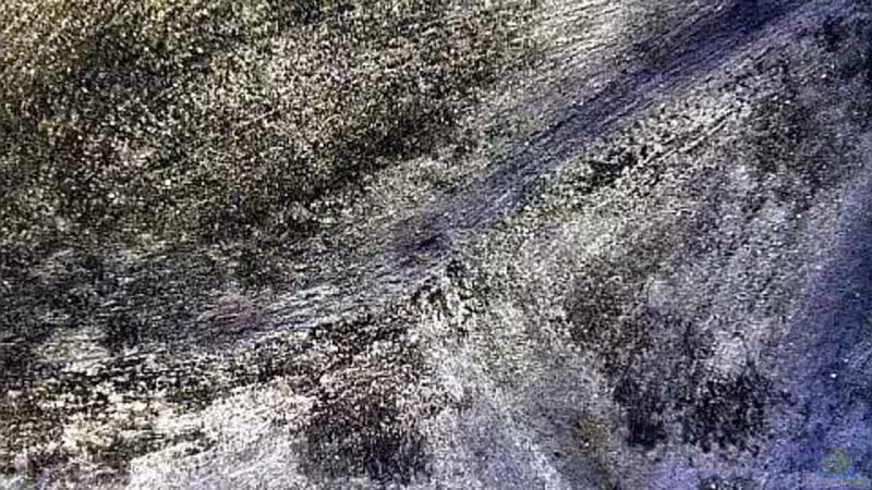 Technik im Aquarium Ostafrika/Felslitoral von mbunafreund (12)