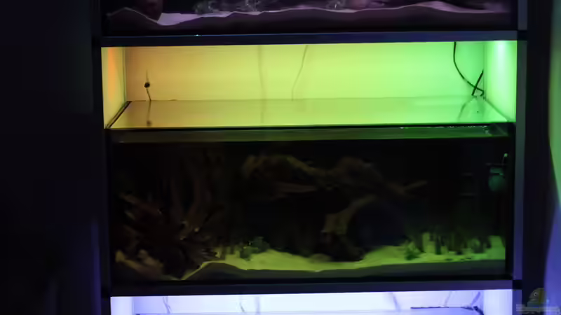 Technik im Aquarium Panaqolus Heaven von maxheadroom (74)