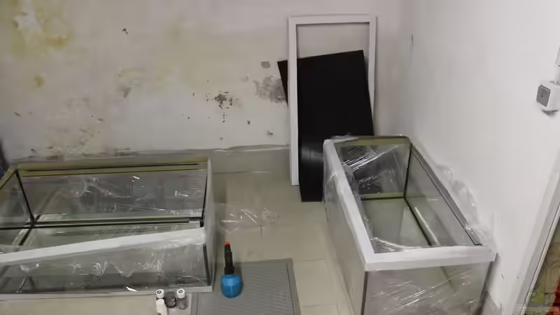 Technik im Aquarium Panaqolus Heaven von maxheadroom (82)