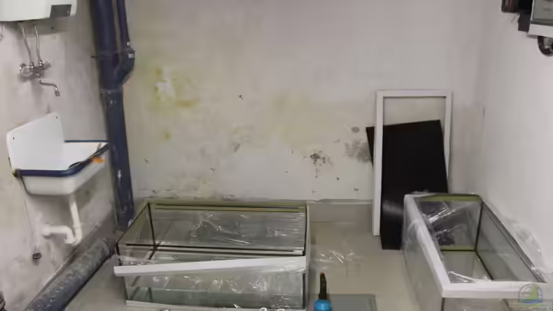 Technik im Aquarium Panaqolus Heaven von maxheadroom (89)