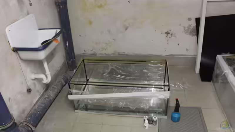 Technik im Aquarium Panaqolus Heaven von maxheadroom (91)