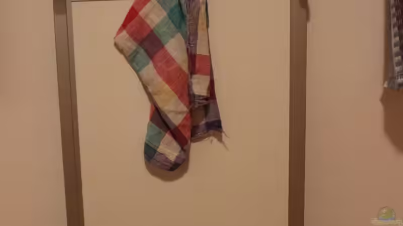 Technik im Aquarium Panaqolus Heaven von maxheadroom (94)