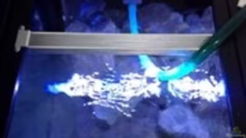 Technik im Aquarium Patrick 1st one... von Pa Mi (3)