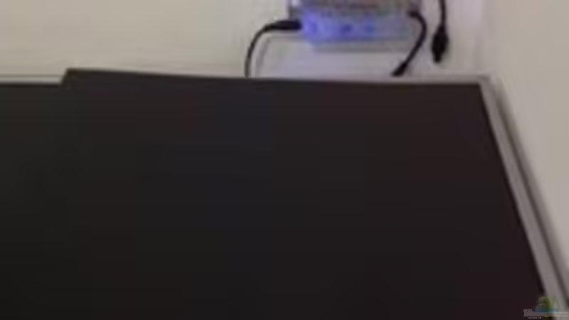 Technik im Aquarium Patrick 1st one... von Pa Mi (5)