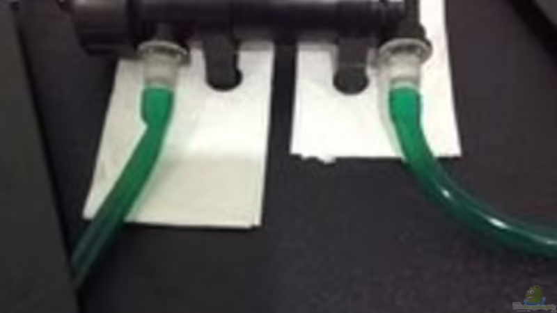 Technik im Aquarium Patrick 1st one... von Pa Mi (6)