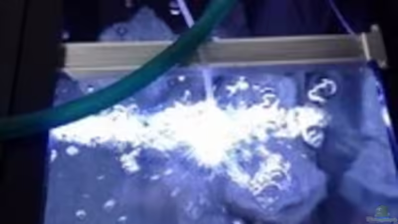 Technik im Aquarium Patrick 1st one... von Pa Mi (8)