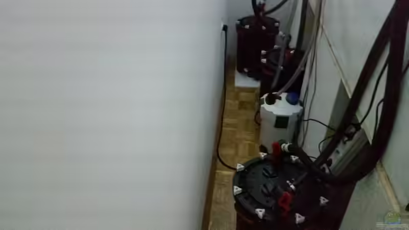 Technik im Aquarium Predator Tank (Nur noch als Beispiel) von Bernd N. (31)