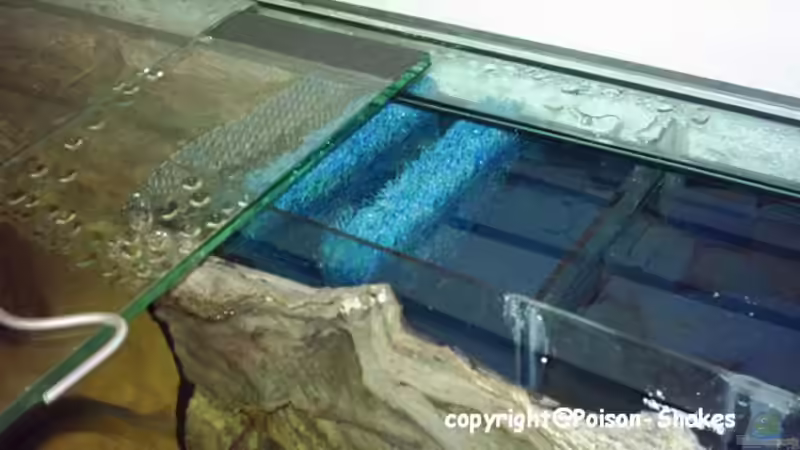 Technik im Aquarium Predatory characins (aufgelöst) von Jürgen Herb (5)